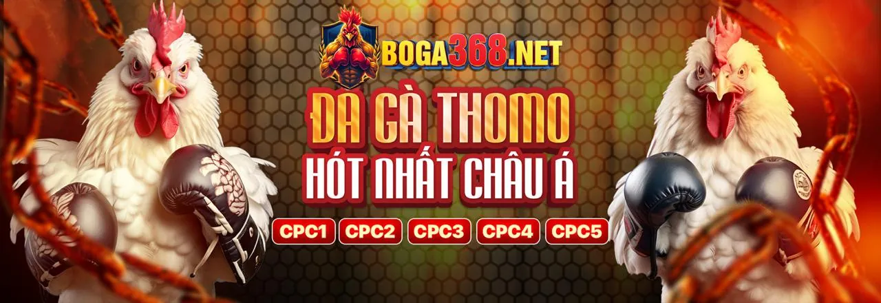 Đá Gà Trực Tuyến Hello88